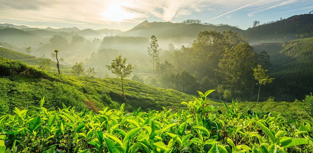MUNNAR
